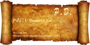 Pál Demetria névjegykártya